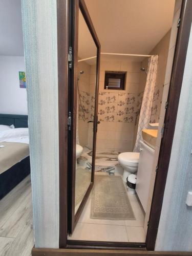 a small bathroom with a toilet and a mirror at Casa Anima Călimănești Căciulata in Călimăneşti