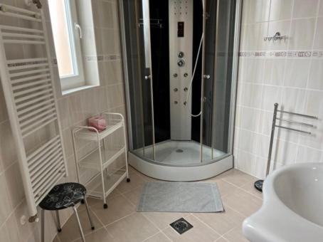 a bathroom with a shower and a sink at Tüskevár Panzió in Abádszalók