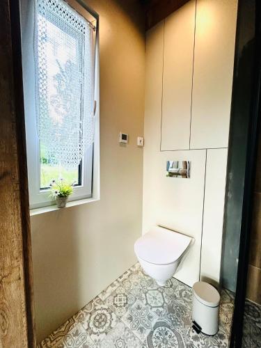 a bathroom with a toilet and a window at Chatka u Radka in Szczodrowo