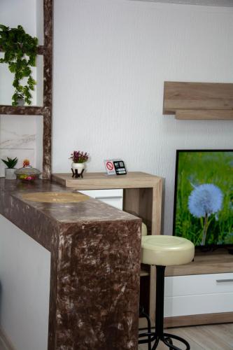 a room with a counter with a stool and a tv at Zeleni dom in Brestovac