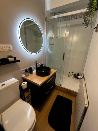 a bathroom with a toilet and a sink and a shower at Le vieux colombier in Le Monastier sur Gazeille