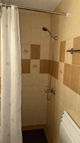 a shower with a shower curtain in a bathroom at Apartmán Daniela in Bansko