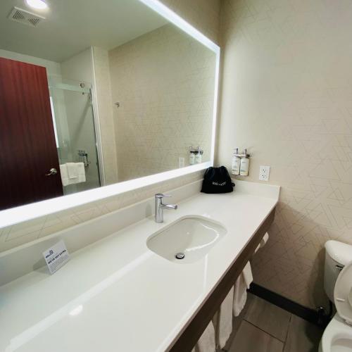 a bathroom with a sink and a mirror and a toilet at Holiday Inn Express Bluffton by IHG in Bluffton