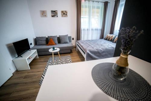 a living room with a couch and a table at Bara Apartment and Studio in Gheorgheni