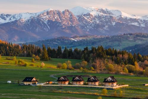 a house in a field with mountains in the background at Sękata Chata góralski domek z kominkiem in Szaflary