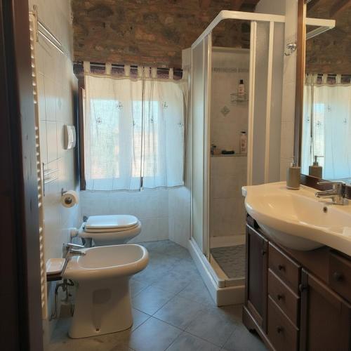 a bathroom with a toilet and a sink and a shower at Rustic Refuge in the Hills in Santa Luce