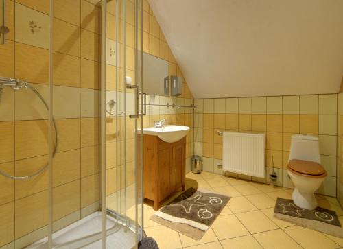 a bathroom with a shower and a toilet and a sink at Sobiesz - Pokoje Gościnne in Jagniątków