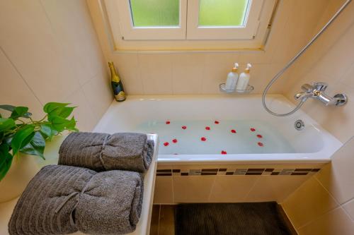 Appartement spacieux, Face aux télécabines