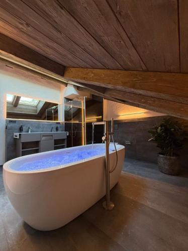 Spacious, modern and elegant house in Morzine