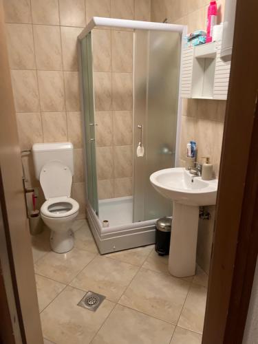 a bathroom with a shower and a toilet and a sink at Eko Haus Tesla in Srnava