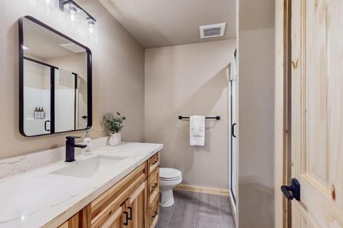 a bathroom with a sink and a toilet and a mirror at Paintbrush Haven in Ronald