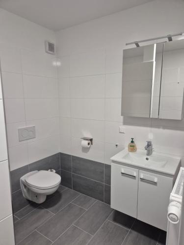 a white bathroom with a toilet and a sink at Comfort Collection Waldviertel in Litschau