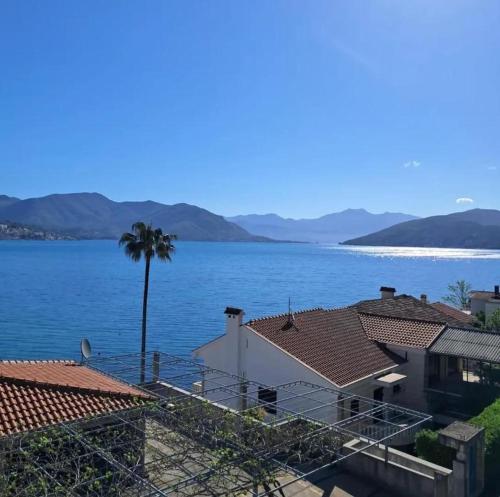 a view of a large body of water with houses and a palm tree at Bellanti2 in Igalo