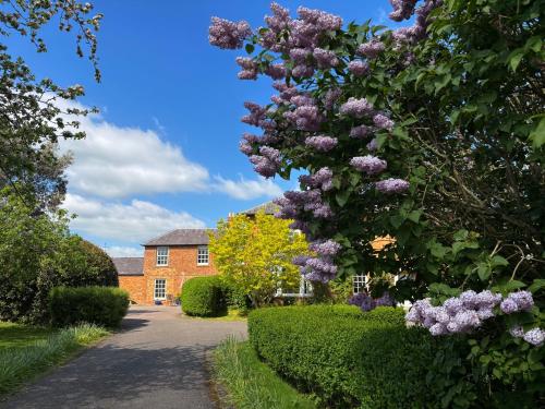 a tree with purple flowers in front of a building at Stylish Countryside Loft near Silverstone-Bicester in Buckingham