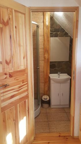 a bathroom with a shower and a sink at Świerkowa Chata in Szczyrk