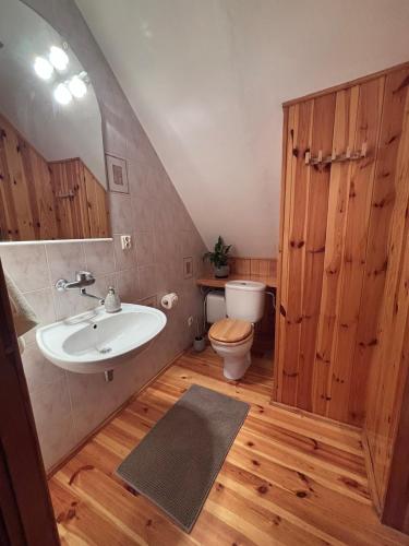 ein Badezimmer mit Waschbecken und Toilette in der Unterkunft 2 Lipy Jura in Kostkowice