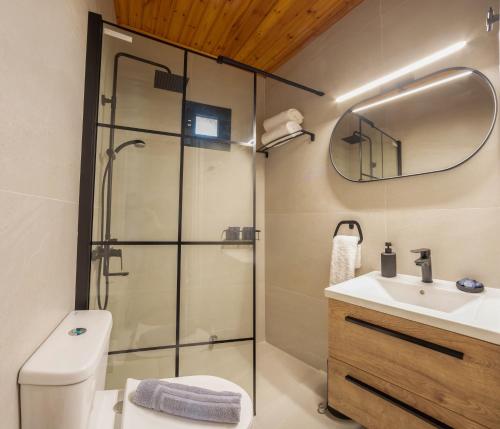 a bathroom with a shower and a toilet and a sink at ORIZON LIVING Lefkada in Vavkerí