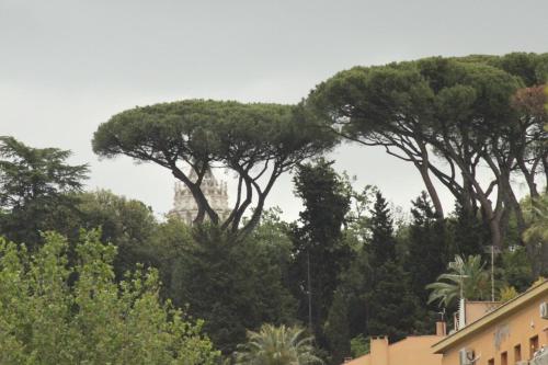 Roma Vatican Apartment