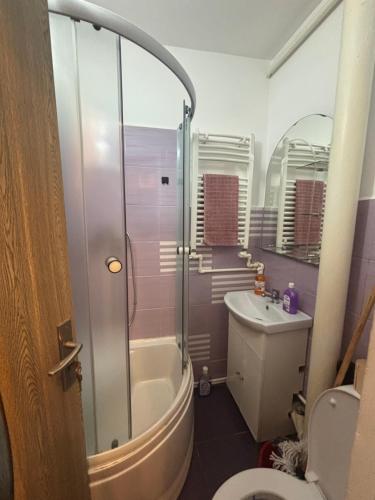 ein Badezimmer mit Dusche, Toilette und Waschbecken in der Unterkunft MiMa Home in Roman
