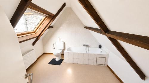 a bathroom with a toilet and a bath tub at Mons 21C in Mons