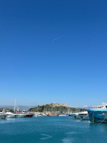 Charmant studio au Vieil Antibes - Plages à pied photo 17