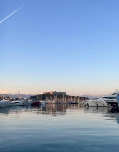 Charmant studio au Vieil Antibes - Plages à pied photo 7