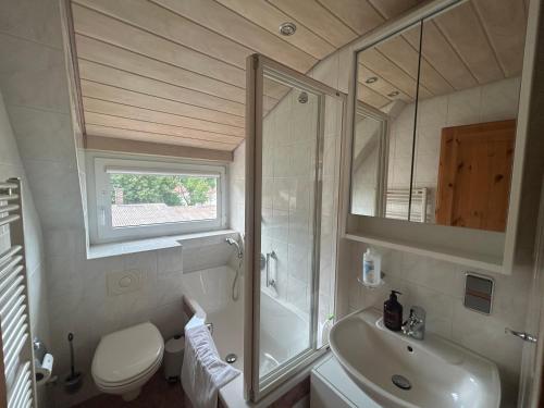 a bathroom with a shower and a sink and a toilet at Wohnung an der schönen Aue Stadtzentrumsnähe in Fulda