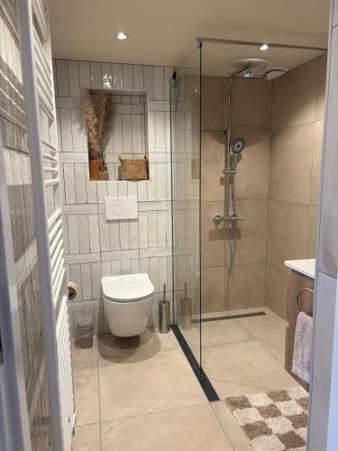 a bathroom with a toilet and a glass shower at Salty dunes in Noordwijk