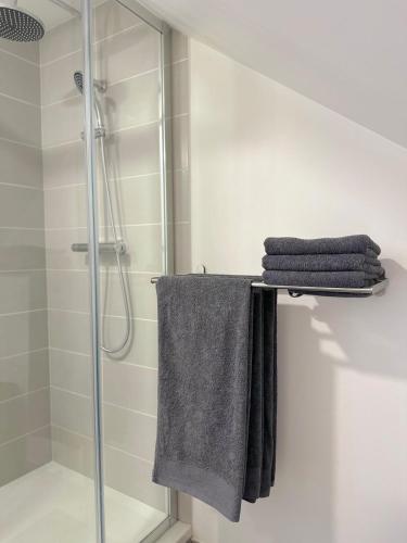 a bathroom with a shower and towels on a rack at Charmant studio in Plailly