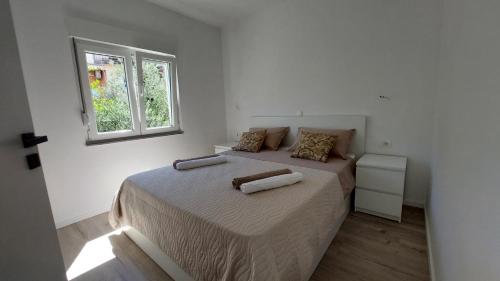 Apartment Toma