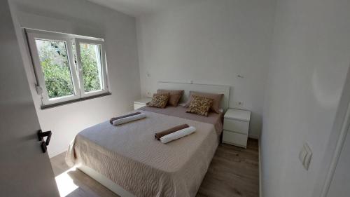 Apartment Toma