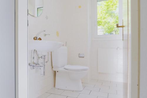 a white bathroom with a toilet and a sink at Traumhafte 2,5-Zi-Wohnung -B- mit Sicht auf See und Berge in Alpnach