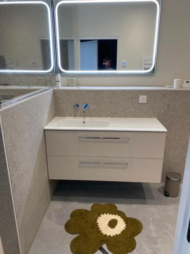 a bathroom with a sink and a mirror at Loft au château in Thonon-les-Bains