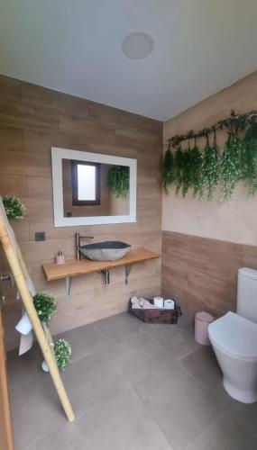 a bathroom with a sink and a toilet and a mirror at Casa vacacional El Arroyo in Ferreras de Arriba