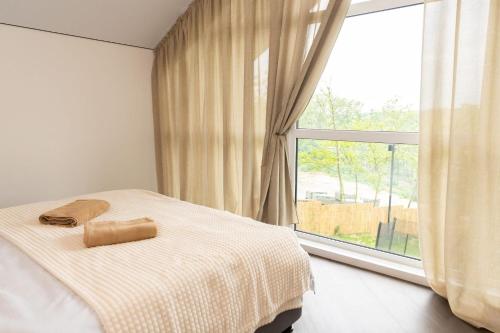 a bedroom with a bed and a large window at Agropensiunea TreiFrati in Dărcăuţi