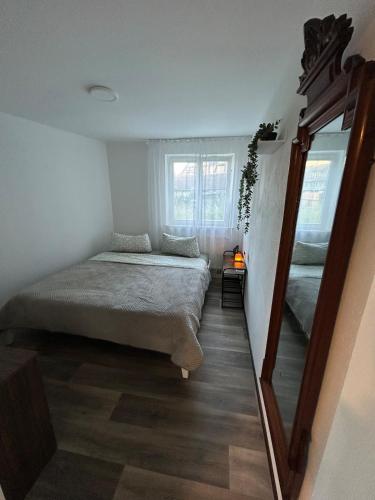 a bedroom with a bed and a large mirror at Cozy & modern apartment in Willstätt in Willstätt