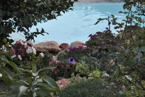 a garden of flowers next to a body of water at Betzel Ha'Ella in Kahal