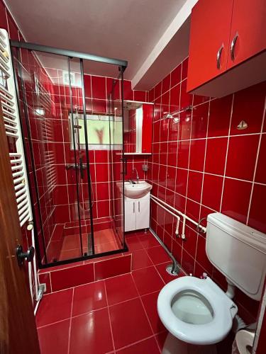 a red tiled bathroom with a toilet and a shower at Apartament The Infinity Nest in Târgu Jiu