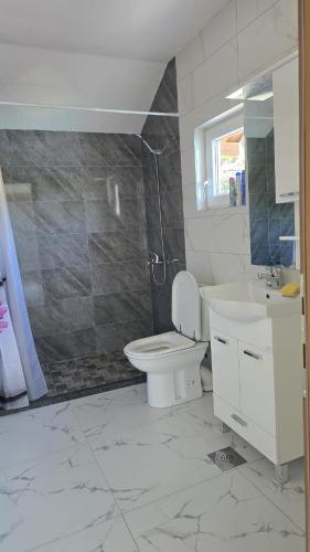 a bathroom with a toilet and a sink and a shower at Captains Seherzada Apartment in Železnička Stanica Ostrožac