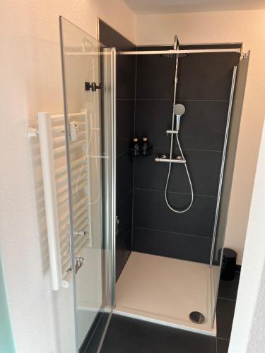 a shower with a glass enclosure in a bathroom at Stylish & modern Flat with large Sun Balcony in Bad Peterstal