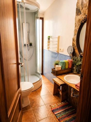 a bathroom with a shower and a toilet and a sink at Apartamentos Casas Rurales "Paraje San Blas" TR-BA-00166 in Alburquerque