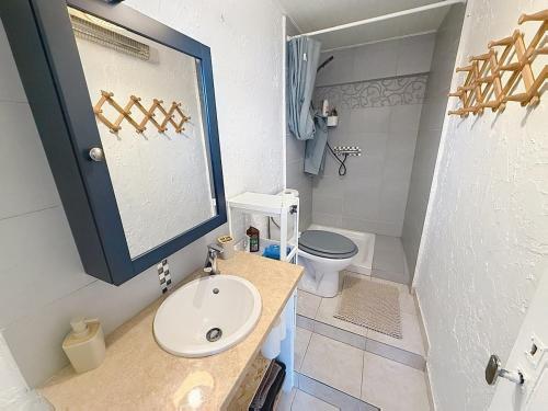 a bathroom with a sink and a toilet at Charmant in Saint-Martin-Vésubie