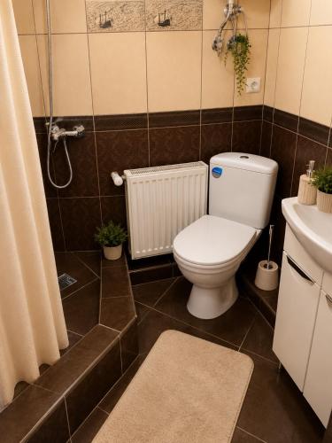ein Badezimmer mit Toilette, Dusche und Waschbecken in der Unterkunft Готель ВІОЛІТІ in Chmelnyzkyj