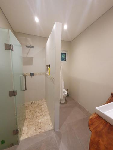 a bathroom with a shower and a sink and a toilet at Seven on the Hillside in Pacific Harbour