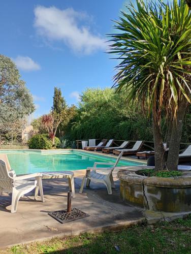 a swimming pool with lounge chairs and a palm tree at Casas de Campo Hoja in Chascomús