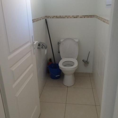a bathroom with a toilet with a mop in it at Monte san petru in Propriano
