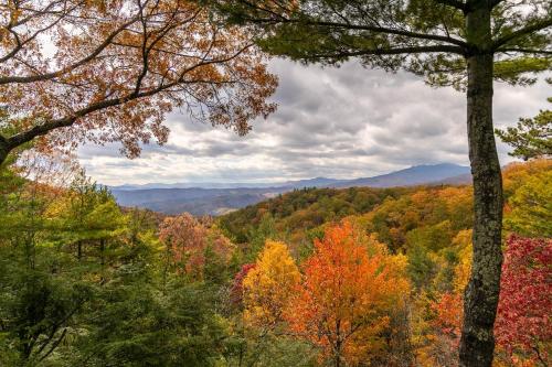 a view of a colorful forest in the fall at Angels Envy in Lenoir