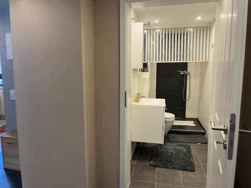 a bathroom with a white toilet and a sink at FeWo Steineck leutenberg in Leutenberg