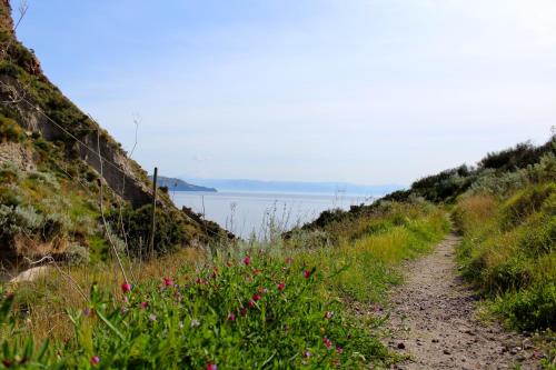 a dirt road next to the water with flowers at al numero zero in Lipari