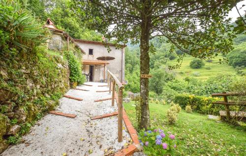 a stone path leading to a house with a tree at Casa Sant'anna in Stazzema
